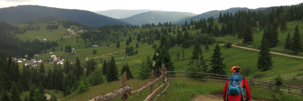 mountain bike 2 mountain bike 2