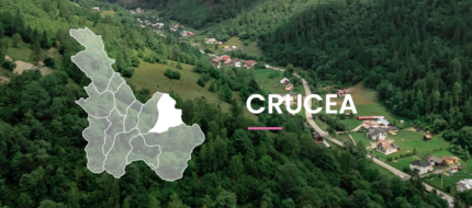 crucea-fp-2