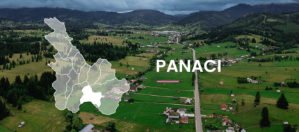 panaci-fp-2